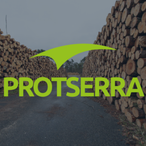 Motosserrista